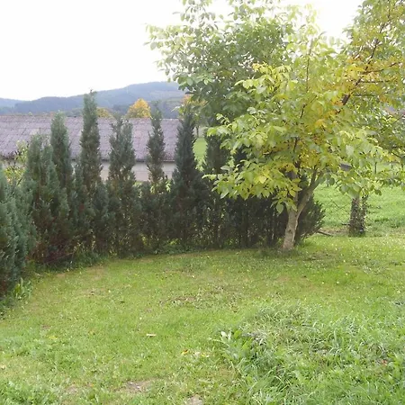 Lovely In Medebach-duedinghausen With Kitchen * Medebach